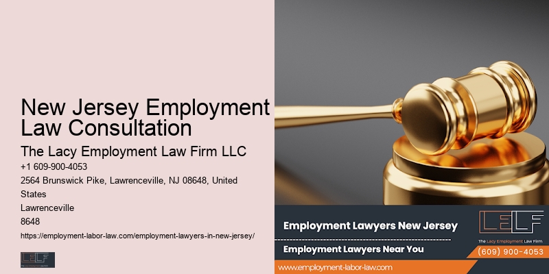 Employment Rights Lawyer New Jersey Employment Law Consultation