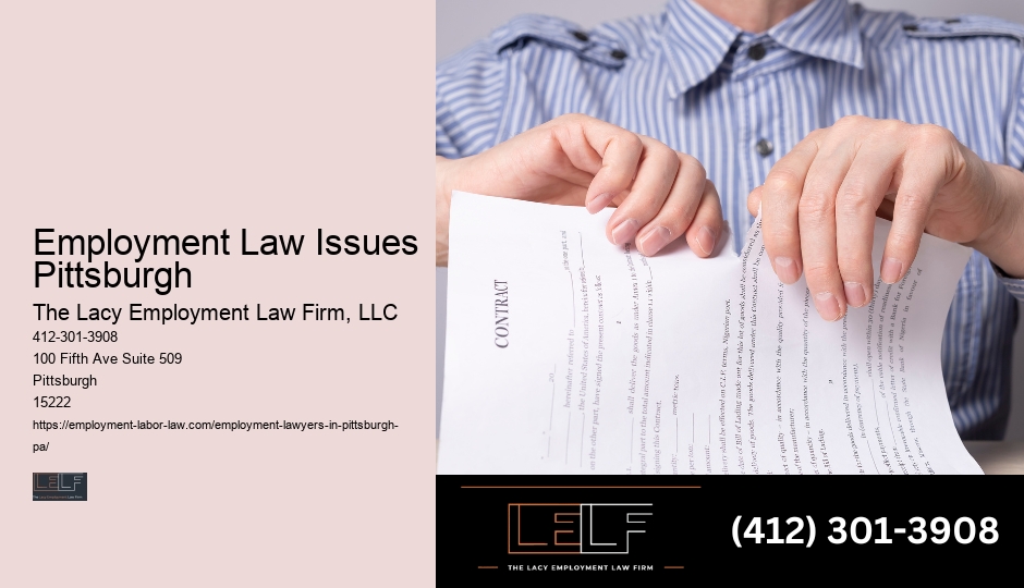 Employment Law Issues Pittsburgh Union Lawyer