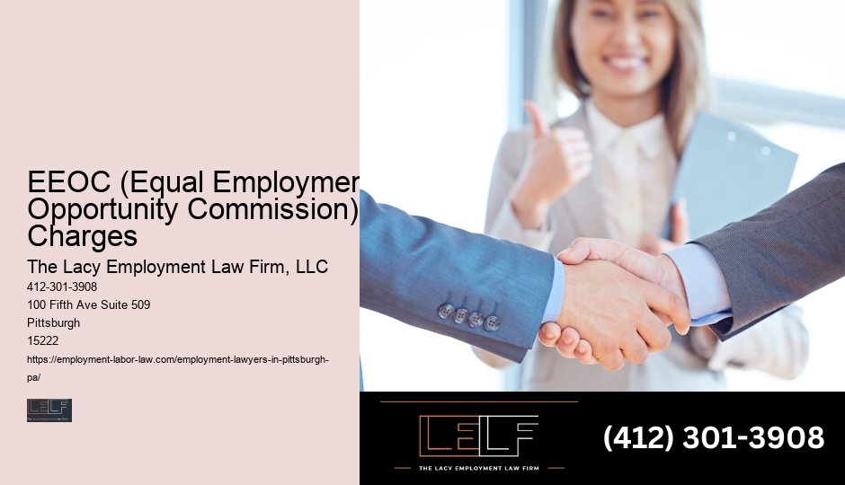 Pittsburgh Employment Law Aid